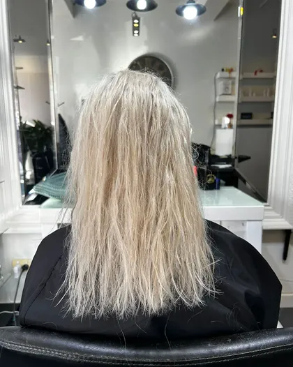 Before: dry, frizzy blonde.