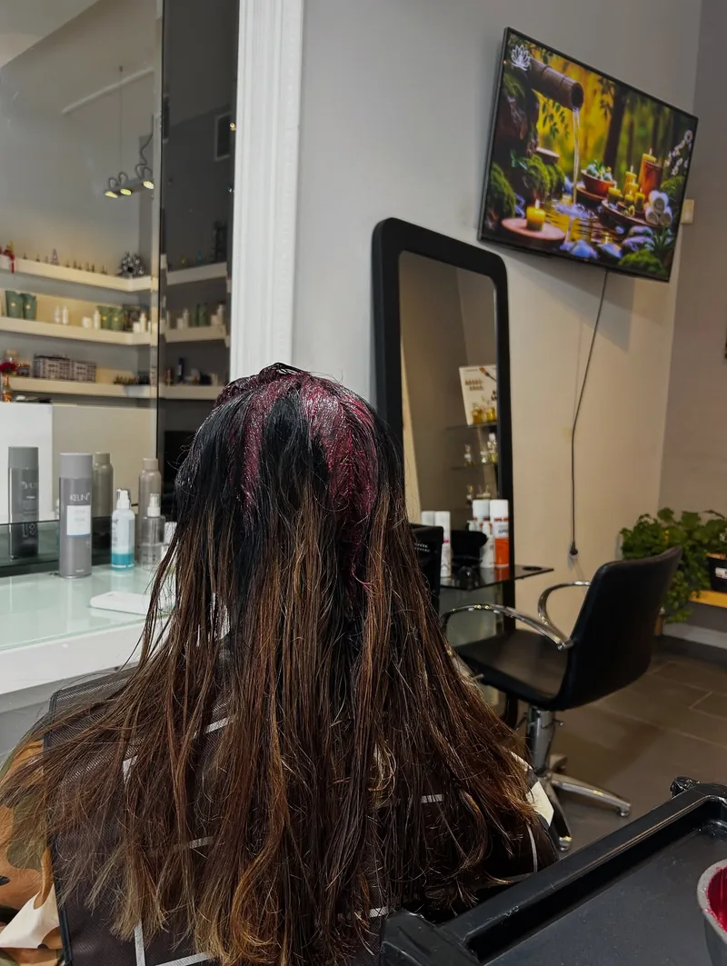 Dark brown hair before colour correction showing the previous colour tone at Akila Oakleigh